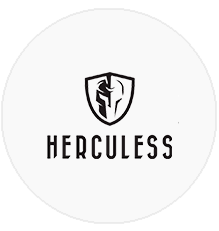 Delta Solutions dienstverlening webdesign Herculess
